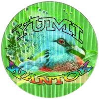 YUMI WANTOK icon