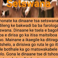 Dinaane tsa Setswana icon