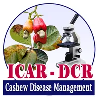 Cashew Disease Management icon
