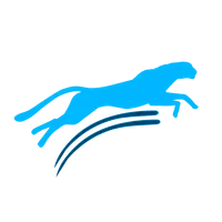 MoneyFex icon