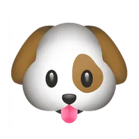 SeeSpotPlay icon