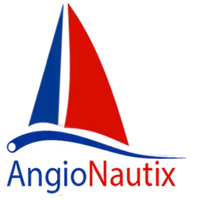 Angionautix icon