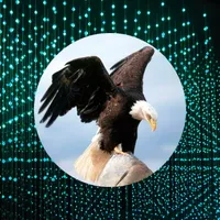 Buscando Aguilas icon