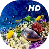 Coral Reef Live Wallpapers HD icon