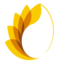 Corona Dorada icon