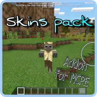 Skins pack addon for mcpe icon