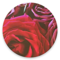 Massager icon