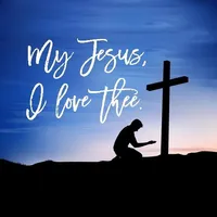 Love Bible Quotes & Verses Wal icon