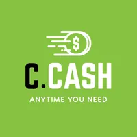 Credit cash icon