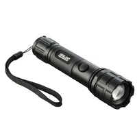 Flash Light Gopi icon