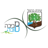 טירת כרמל icon