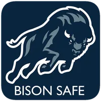 Bison Safe icon