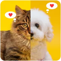 Cute Cat and Dog Wallpapers HD icon