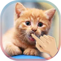 Magic Touch Cat Live WallPaper icon