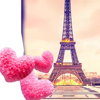 Cute Paris Live Wallpaper icon