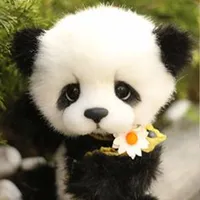 Panda Wallpaper icon