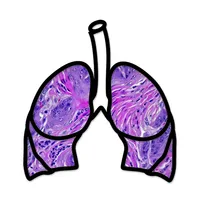 Lung Cancer Stage icon