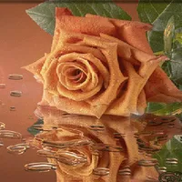 Chocolatey Rose Live Wallpaper icon