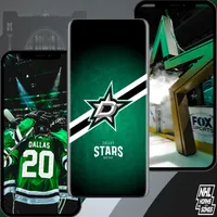 Dallas star ice hockey PICS icon