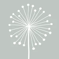 DandyLight - Photography App icon