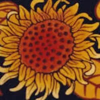 Mariber icon