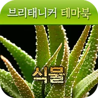 브리태니커 테마북-식물 icon