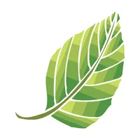 Tintorería Bosques icon