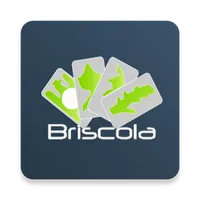 Briscola icon