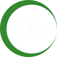 VGS icon
