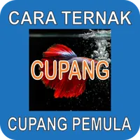 Cara Ternak Ikan Cupang Pemula icon