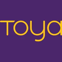 Toya System icon
