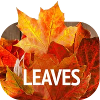 Leaves Wallpapers icon