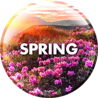 Spring Wallpapers in 4K icon
