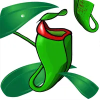 Nepy icon