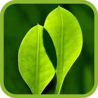 MOWER Pro icon