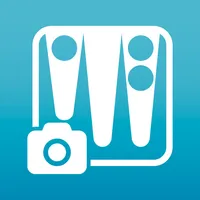 BG Position Saver icon