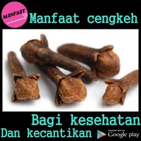 Khasiat Cengkeh icon