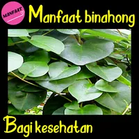 Manfaat Daun Binahong icon