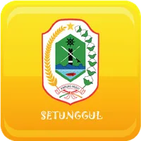 Desa Setunggul icon