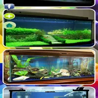 DESIGN OF AQUARIUM icon