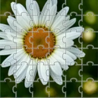 Jigsaw 2021 icon