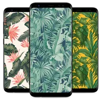 Best Tropical Wallpaper for Ph icon