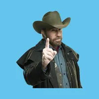Chuck Norris blagues icon