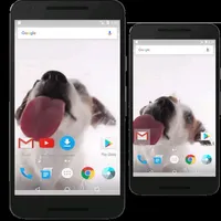 Dog Licks Screen Wallpaper icon