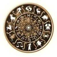 Kanippayyur Astrology icon