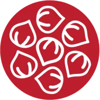 Yum Dim Sum icon