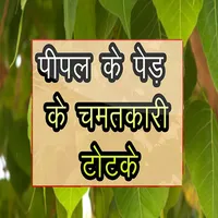 पीपल के पेड़ के टोटके icon