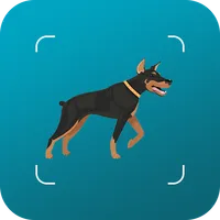 Random Dogs icon