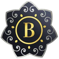 Bitsmoney icon
