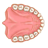 Dentist Pro icon